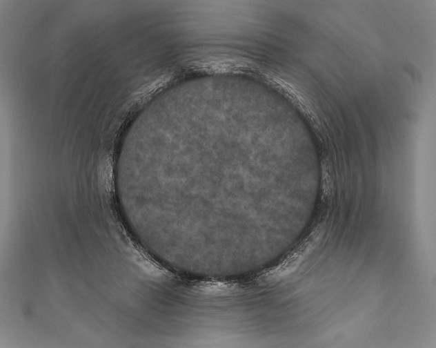 X0000111000453200907101456