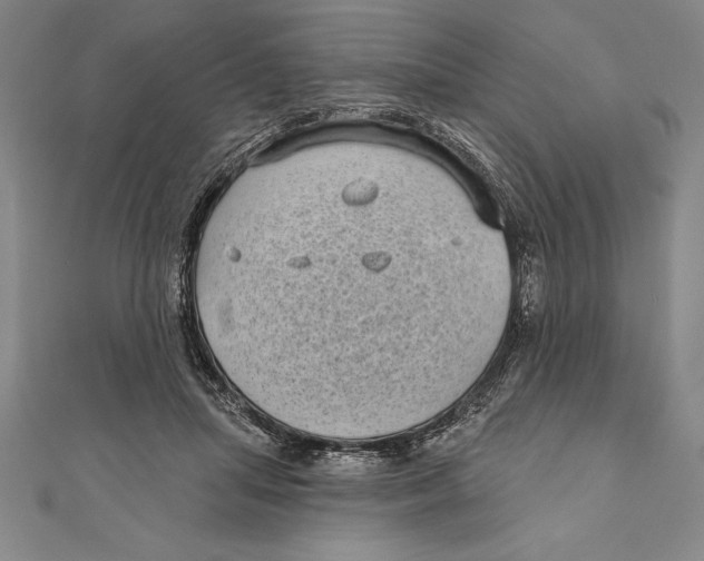 X0000111000455200907101456