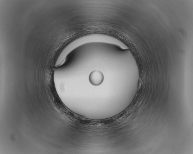 X0000111000456200907101456