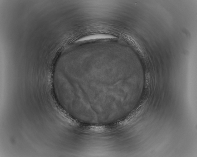 X0000111000457200907101456