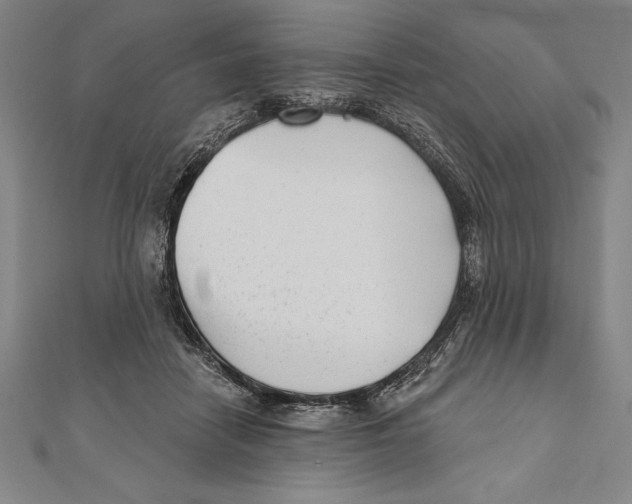 X0000111000458200907101456