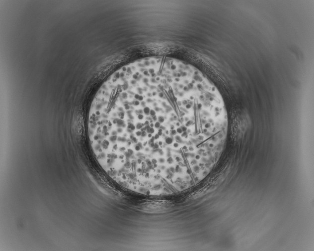 X0000111000459200907101456