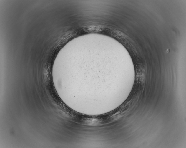 X0000111000460200907101456