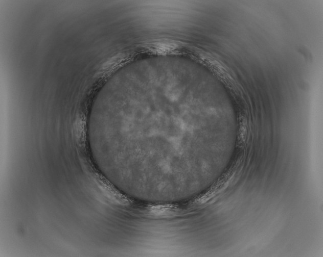 X0000111000461200907101456