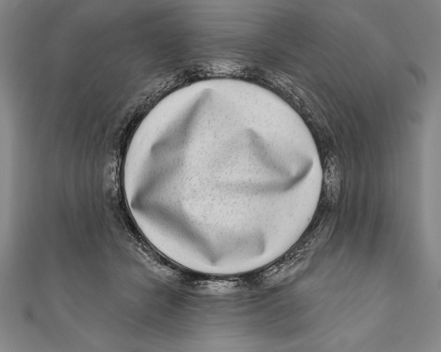 X0000111000462200907101456