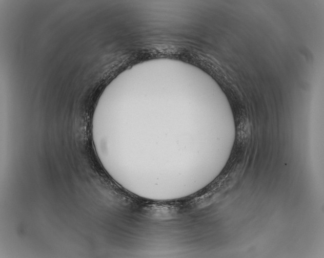 X0000111000464200907101456