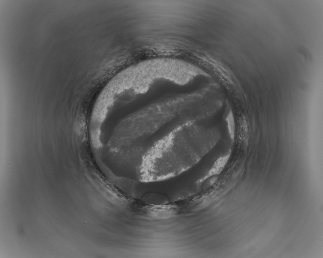 X0000111000465200907101456