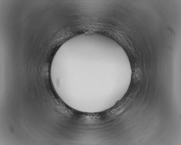 X0000111000466200907101456