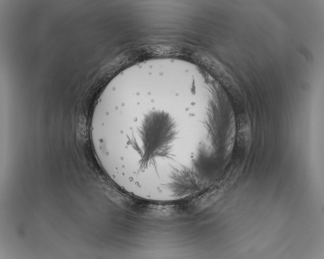 X0000111000469200907101456