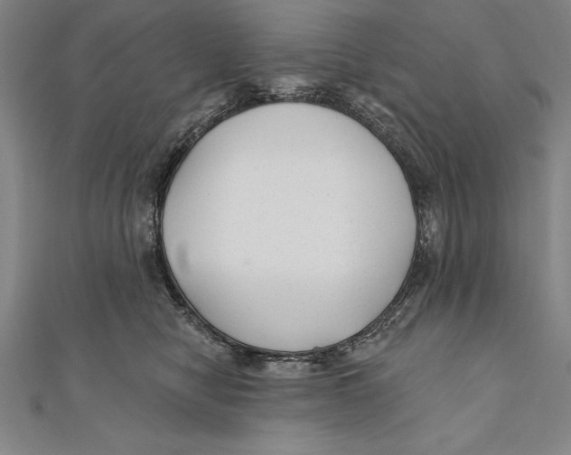 X0000111000470200907101456