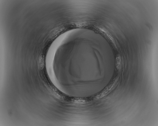 X0000111000471200907101456