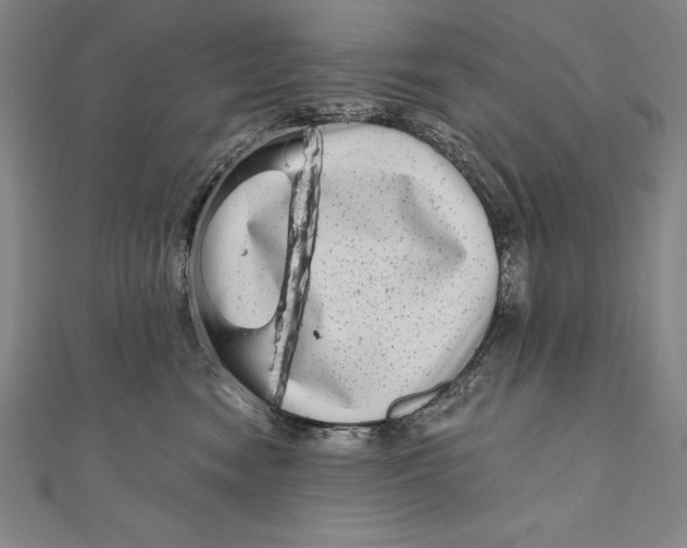 X0000111000474200907101456