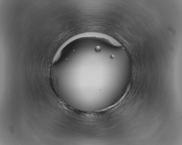 X0000111000475200907101456