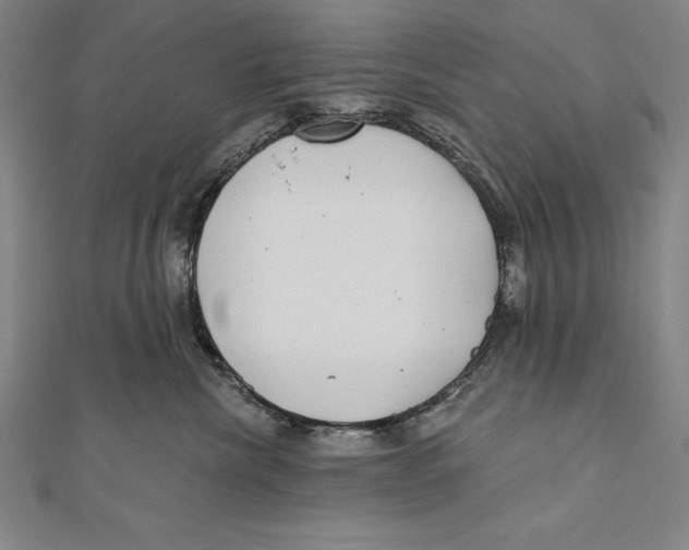 X0000111000476200907101456