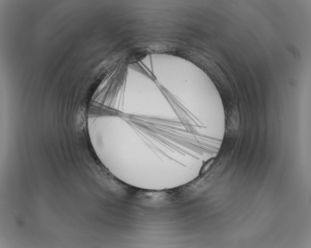 X0000111000478200907101456