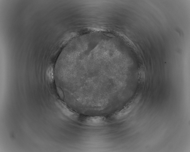 X0000111000479200907101456