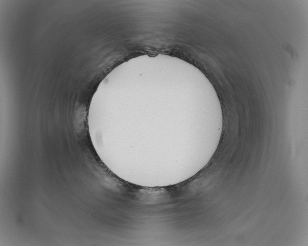 X0000111000480200907101456