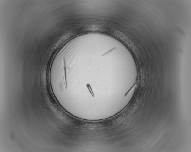 X0000111000482200907101455