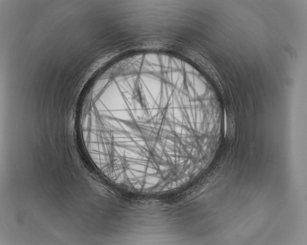 X0000111000483200907101455