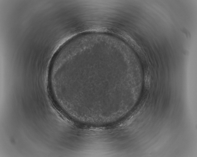 X0000111000484200907101455