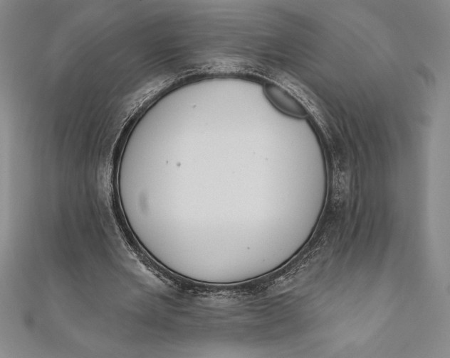 X0000111000485200907101455