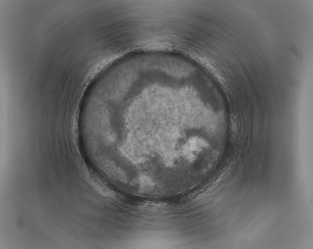 X0000111000487200907101455