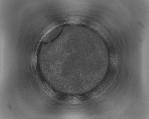 X0000111000488200907101455