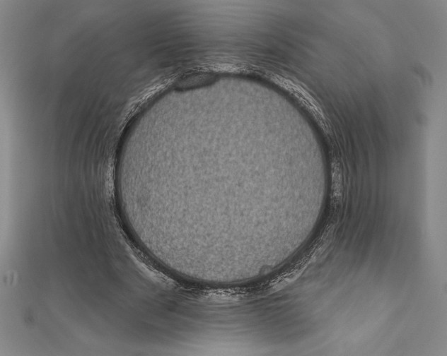 X0000111000489200907101455