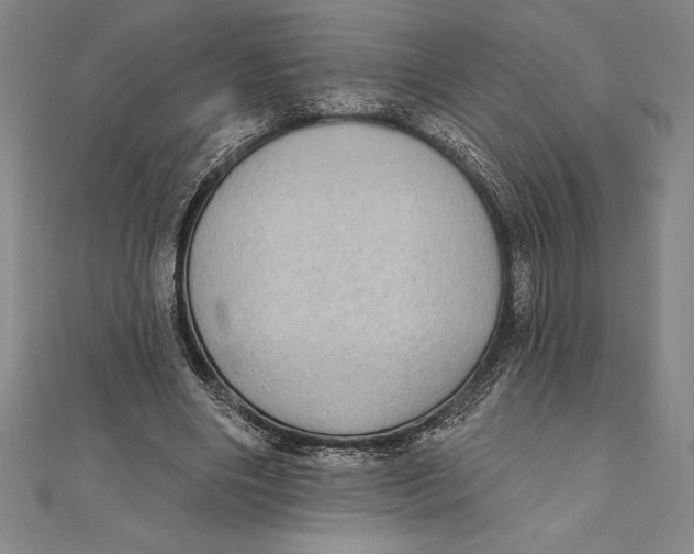 X0000111000490200907101455