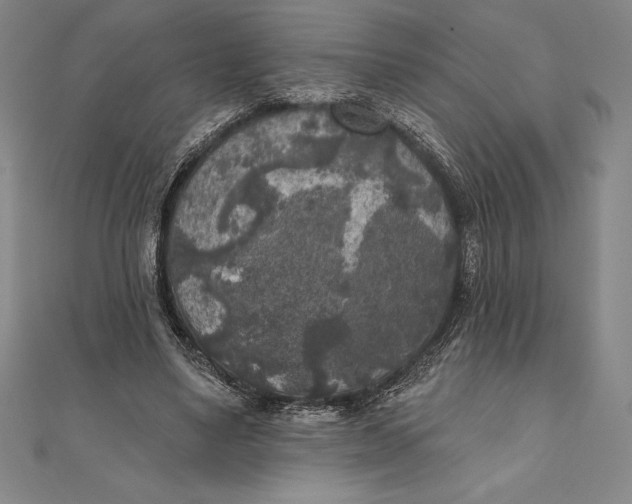 X0000111000491200907101455