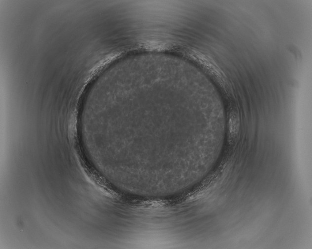 X0000111000492200907101455