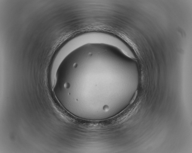 X0000111000493200907101455