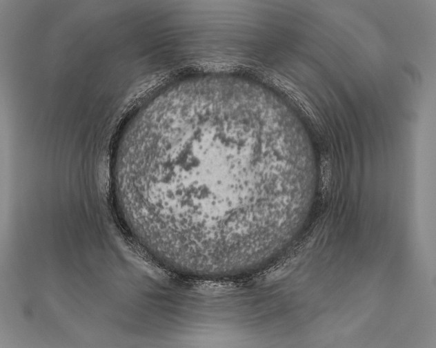 X0000111000494200907101455