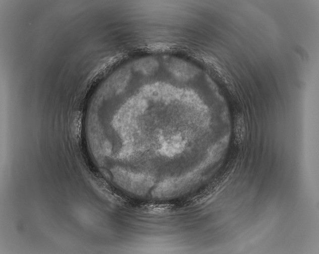 X0000111000495200907101455