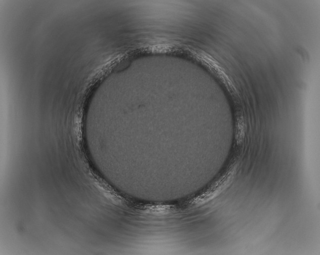 X0000111000497200907101455