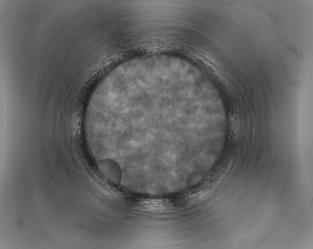 X0000111000499200907101455