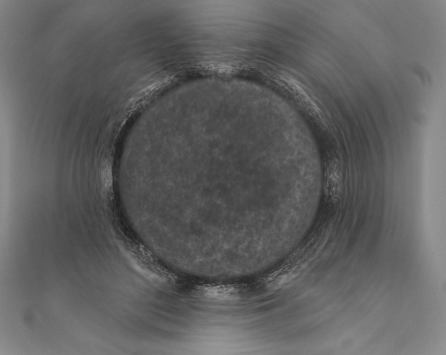 X0000111000500200907101455