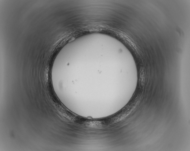 X0000111000501200907101455