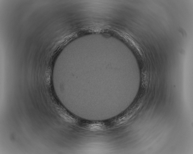 X0000111000505200907101455