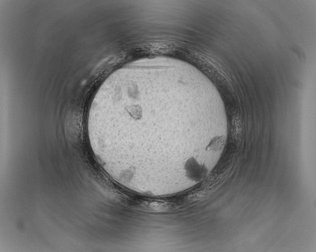 X0000111000506200907101455