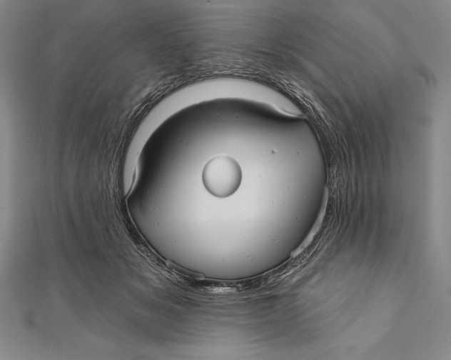 X0000111000509200907101455