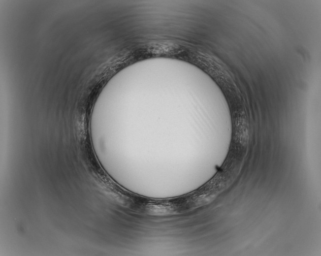 X0000111000510200907101455