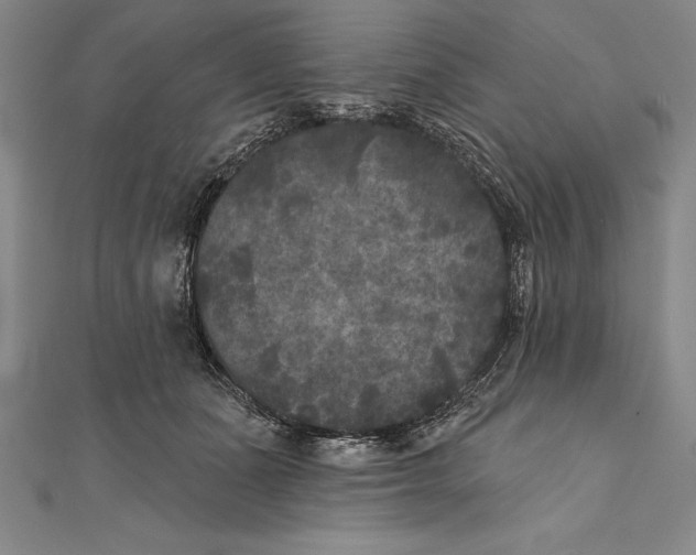 X0000111000511200907101455