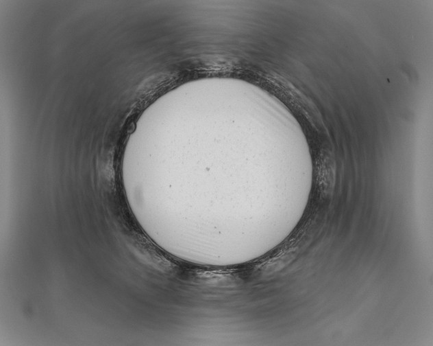 X0000111000516200907101455