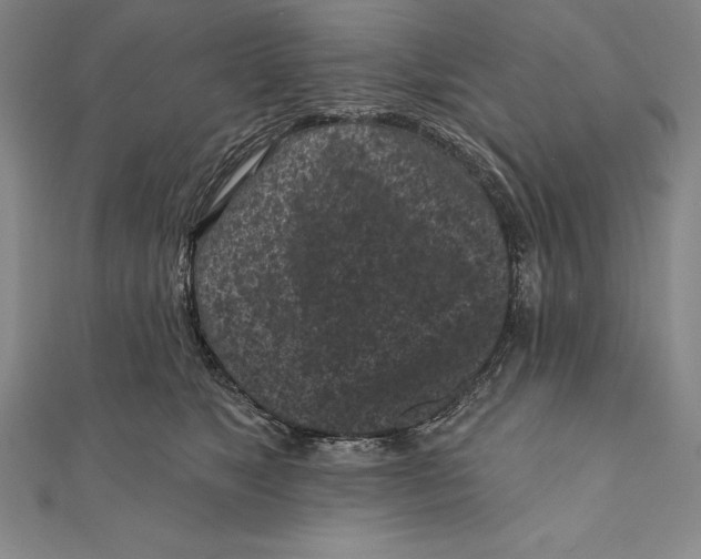 X0000111000517200907101455