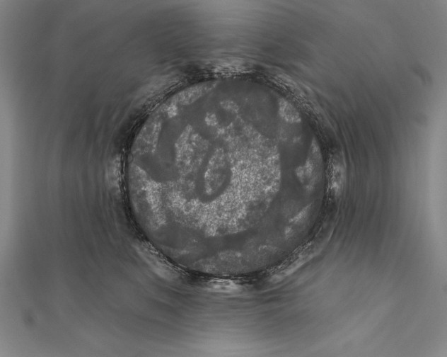 X0000111000519200907101455