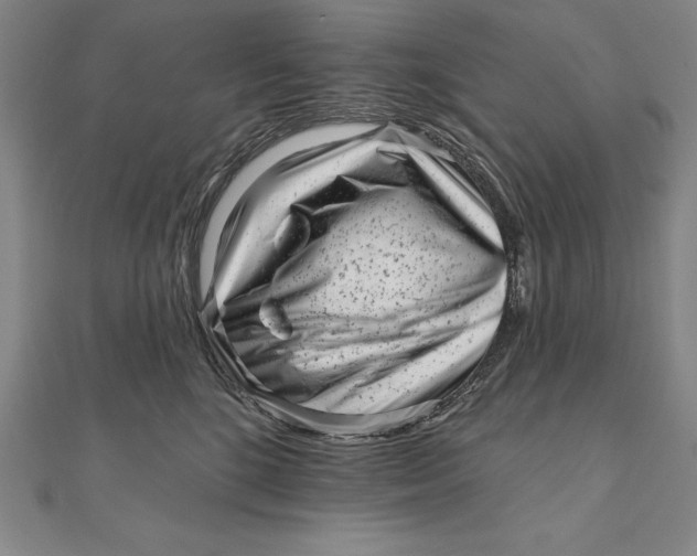 X0000111000520200907101455