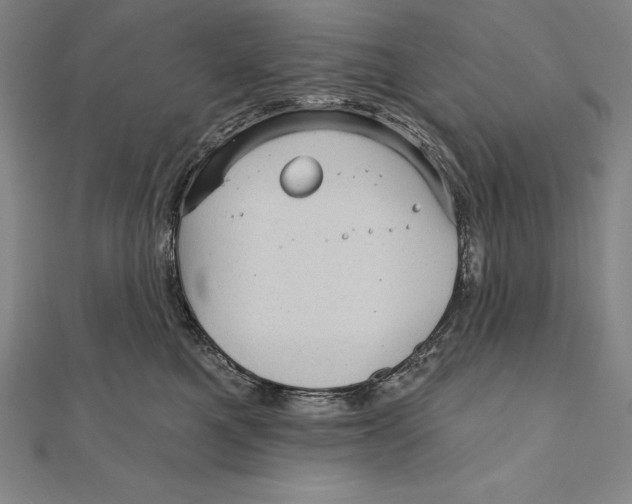 X0000111000521200907101455