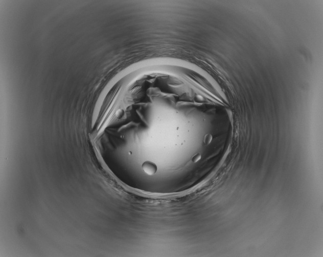 X0000111000524200907101455