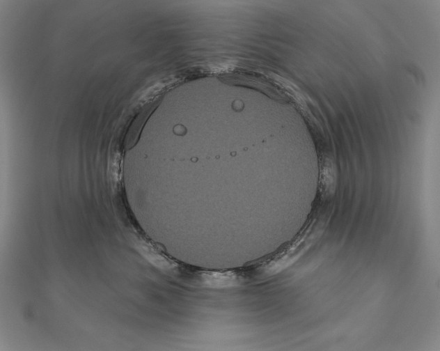 X0000111000525200907101455